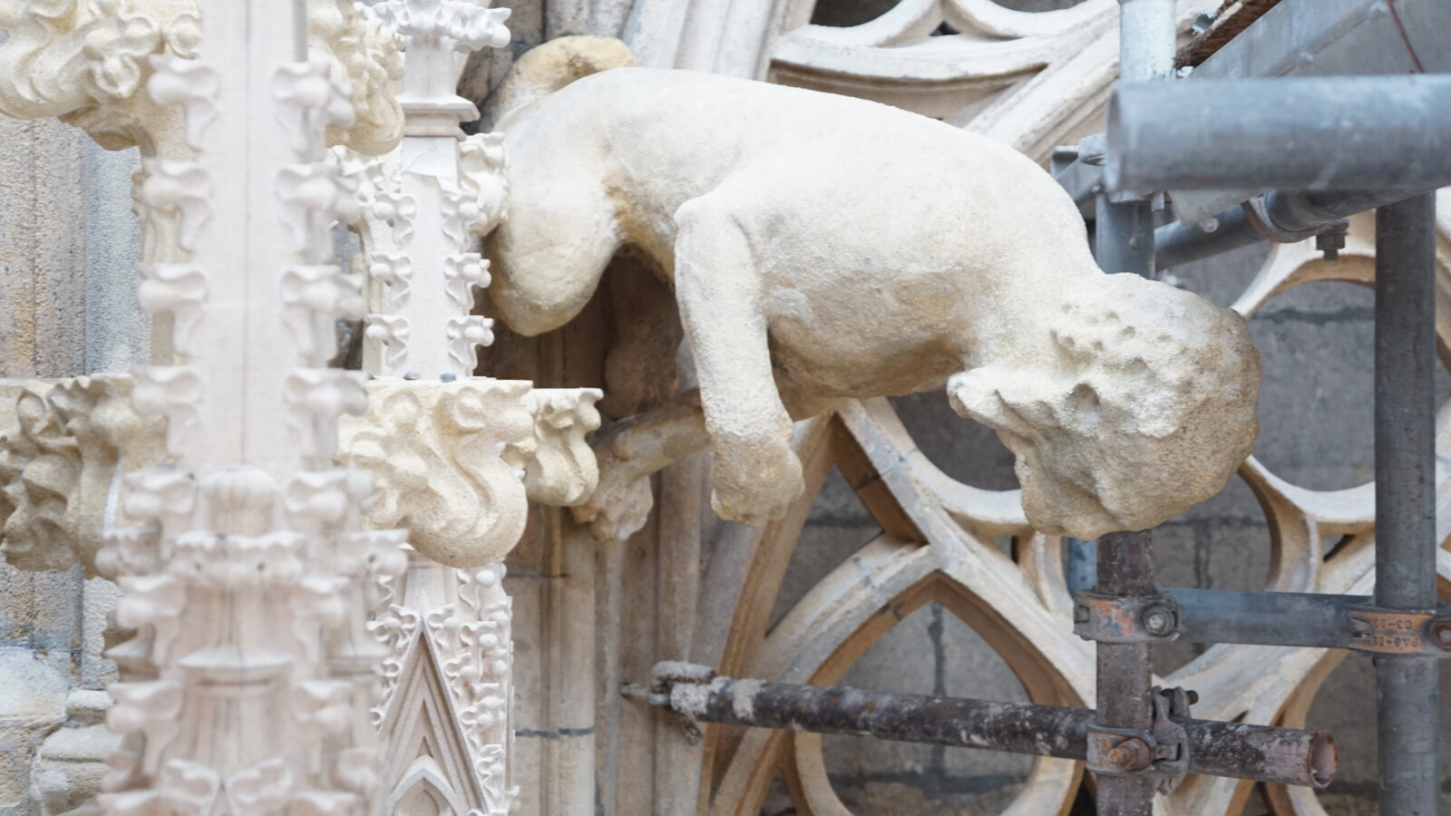 Wasserspeier · Rechte: Archiv der Dombauhütte St.Stephan