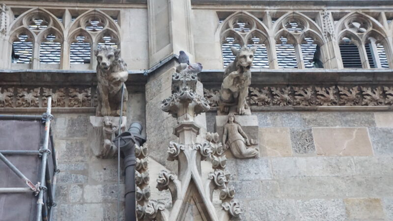 Fassade / Giebel Maßwerk mit Kreuzblume Wasserspeier · Rechte: Archiv der Dombauhütte St.Stephan