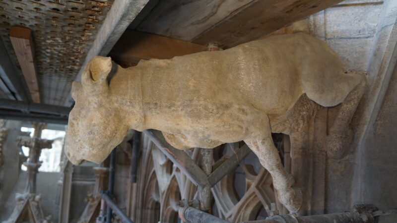 Wasserspeier · Rechte: Archiv der Dombauhütte St.Stephan