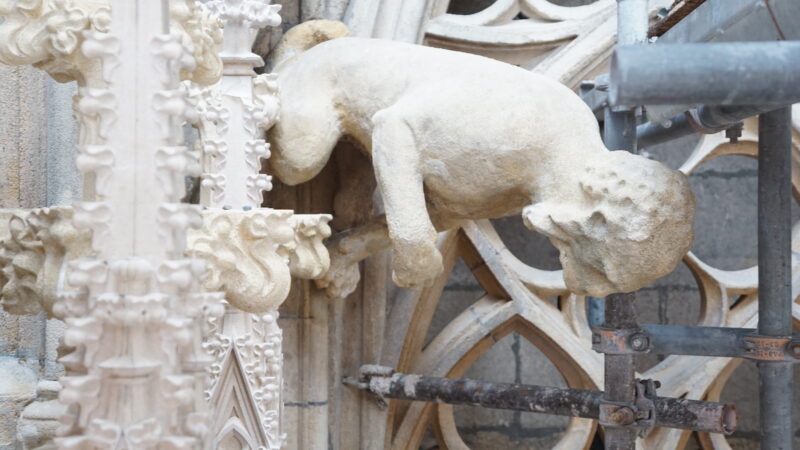 Wasserspeier · Rechte: Archiv der Dombauhütte St.Stephan